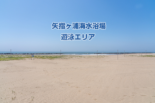矢指ヶ浦海水浴場の遊泳エリアの画像