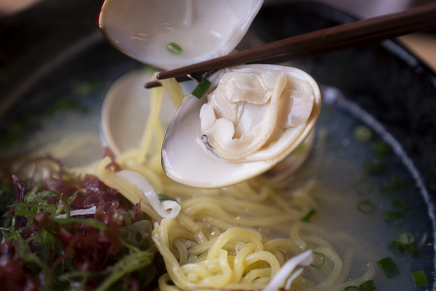 葉武里のはまぐりラーメンのはまぐりのアップ写真